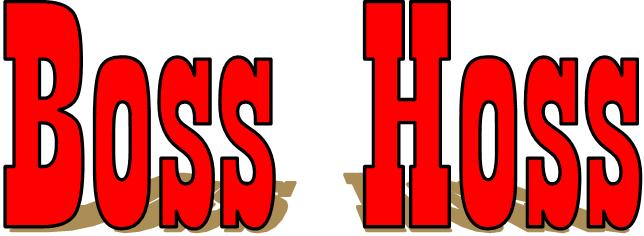  Boss Hoss