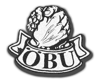 Visit www.oebu.at - österreichsiche Bikerunion
