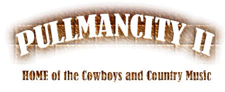 www.pullmancity-2.com