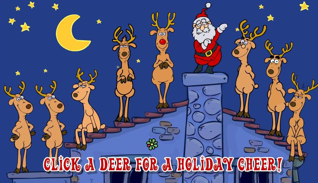 FlashAnimation - abspielen im Internet-Explorer