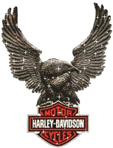 Harley Davidson.