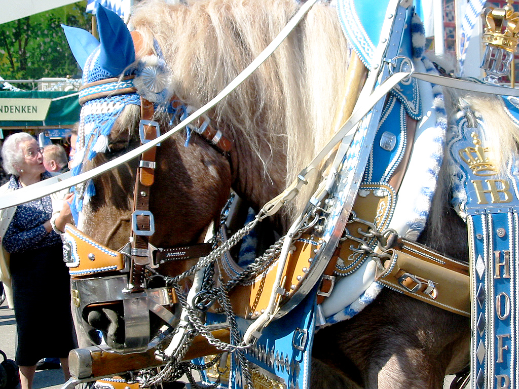 M�nchner Oktoberfest 2005
